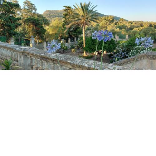 Casa Campo Mallorca Castellitx