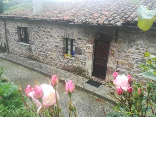 CASA CHANOS