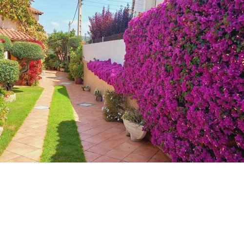 Casa con jardín en Roda de Bará