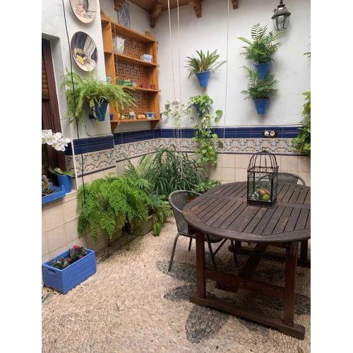 Casa con patio cordobés
