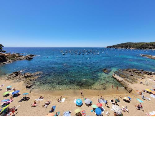 Casa Concha Apartamentos