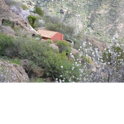 Casa Cueva El Pedregal Tejeda