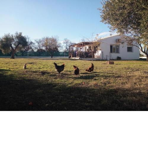 Casa de Campo Los Manueles Ideal Perros Pet Friendly