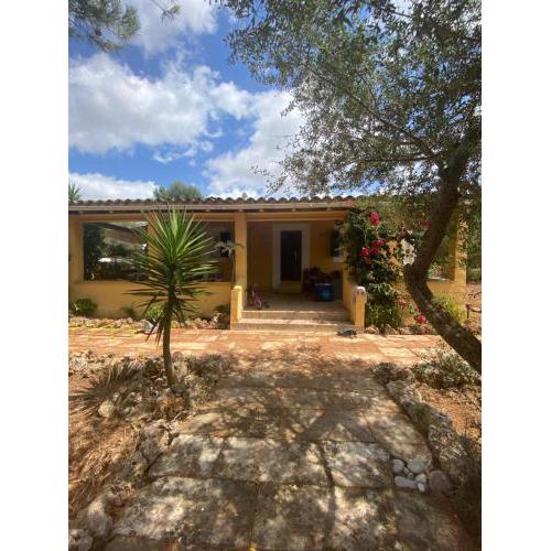 Casa de Estrella