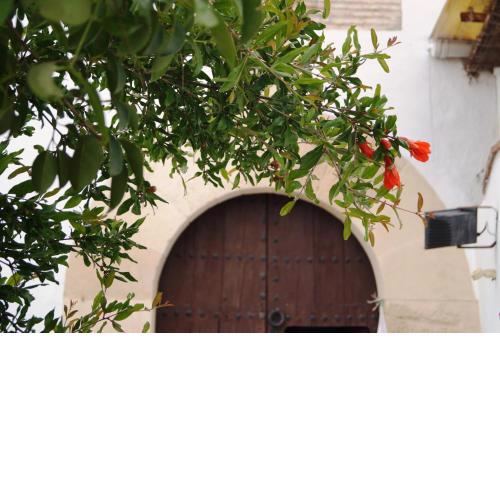 Casa de la Placeta del Rincón