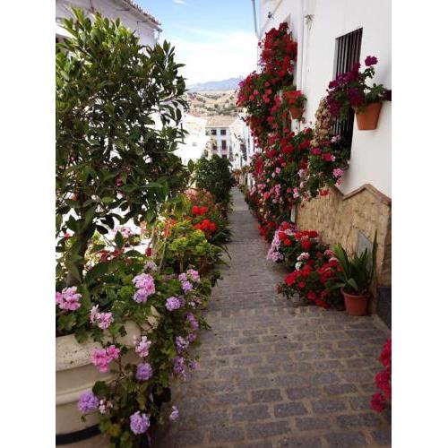 Casa de las Flores - a picture perfect location!