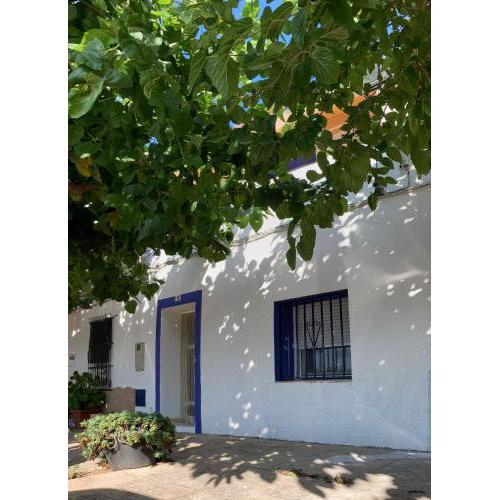 Casa de l'hort - Els Valentins
