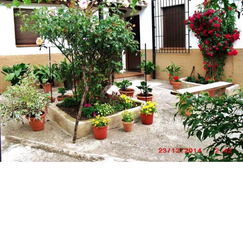 Casa del Abuelo 1