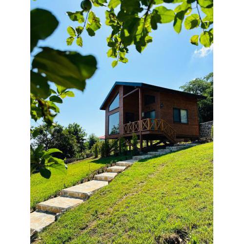 Casa di Arte Wood House