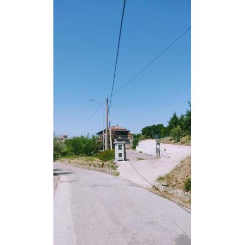 Casa di campagna tra ulivi secolari