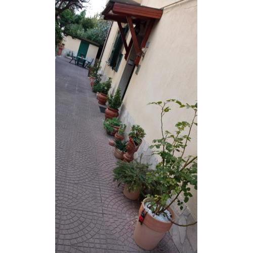 Casa Diana
