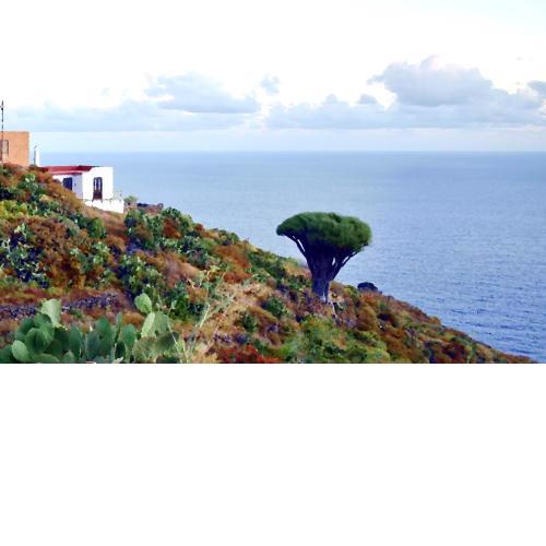 Casa Doro