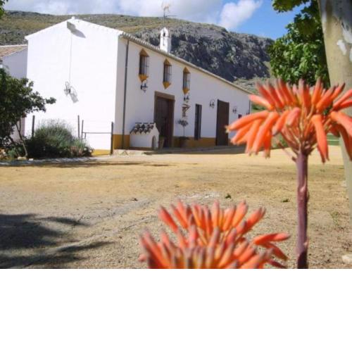Casa El Castillo