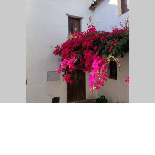 Casa en fortaleza medieval
