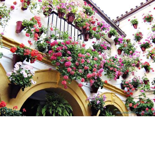 Casa en Marbella