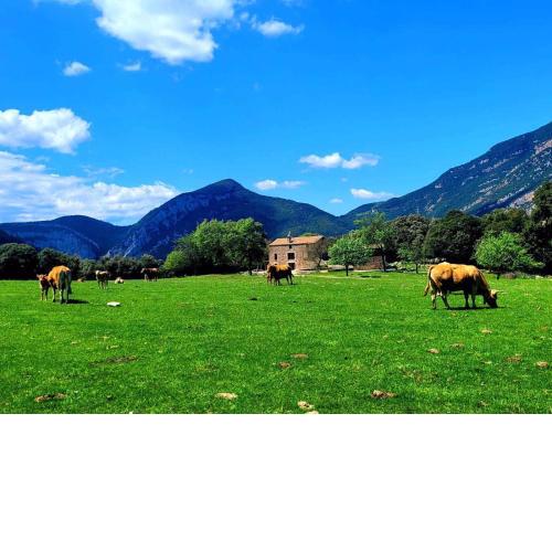 Casa en paraje natural único Hasta 25 personas