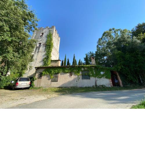 Casa junto al bosque