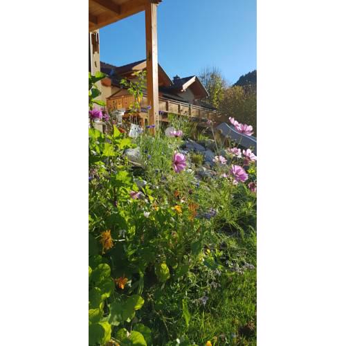 Casa Kümpel