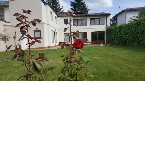 Casa la Manzanera