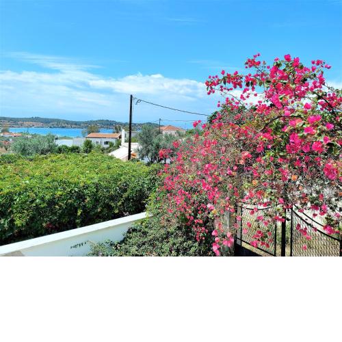 Casa Lagoo