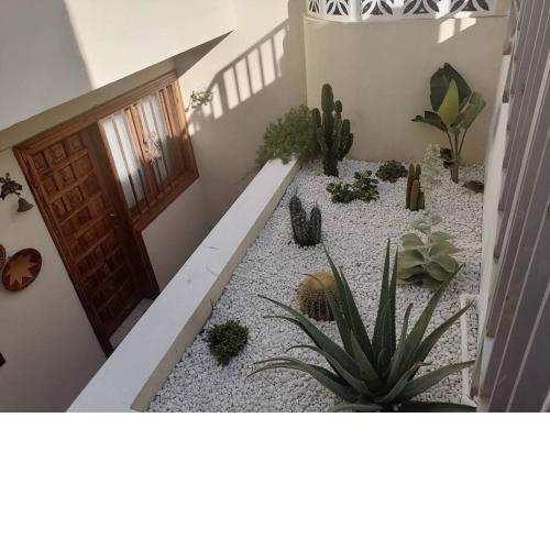 Casa las pencas de margarita