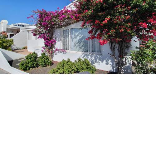 Casa Lento