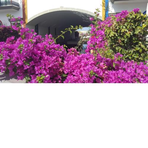 Casa Little Venice in Puerto de Mogan