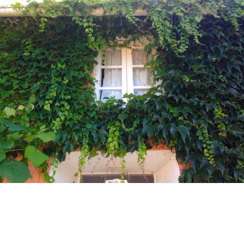 Casa Lourido