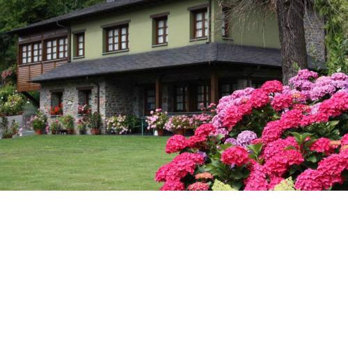 Casa María Cecilia