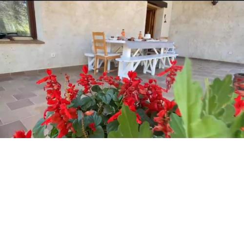CASA NAMASTE - ORTIGOSA DEL MONTE