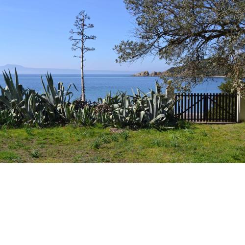 Casa Natura