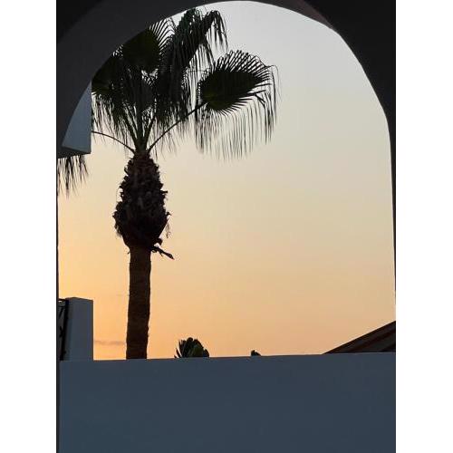 Casa Palmera