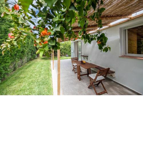 Casa Panda