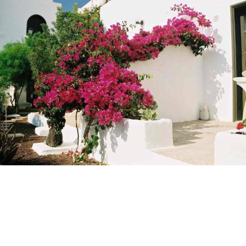 Casa Playa beachfront apartment above a glorious sandy beach and tidal lagoon