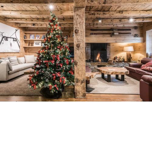 Casa Pleta de Baqueira Deluxe by Totiaran