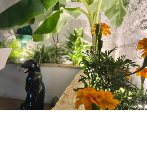 Casa Preciosa Privada