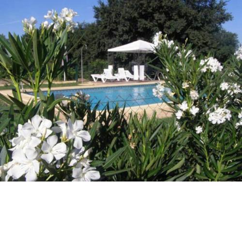 Casa Rural Alameda en Posadas Córdoba
