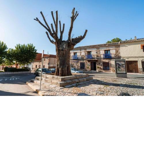 Casa Rural Álamo Grande