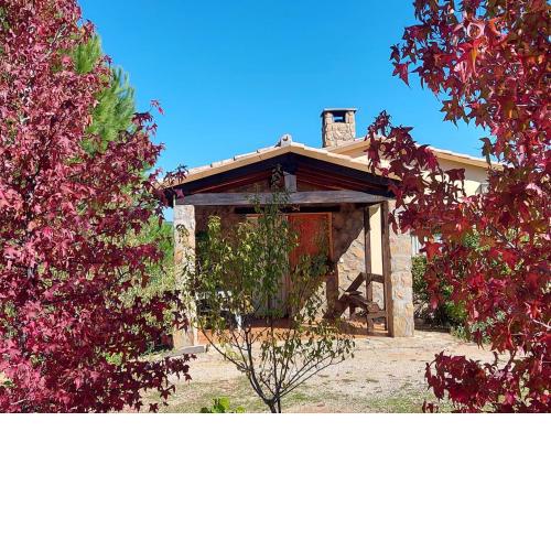 Casa Rural Amarilla