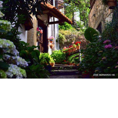 Casa Rural Amparo