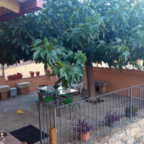 CASA RURAL CAN CASANOVAS