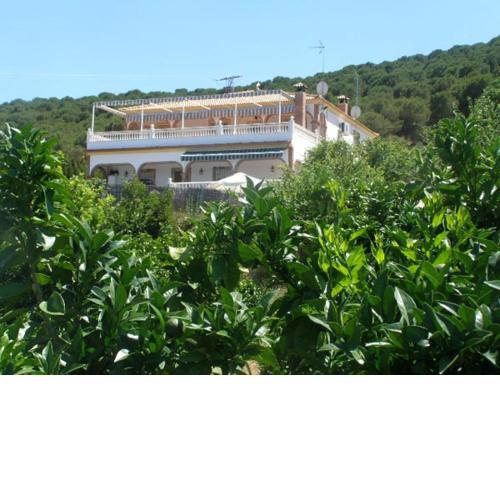Casa Rural el Pinar en Posadas Córdoba