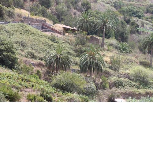 Casa Rural El Rincón de Antonia