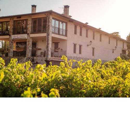 Casa Rural en Bodega. La posada de Vitis