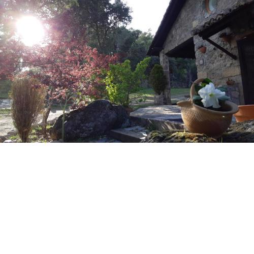 Casa rural La Borriquita