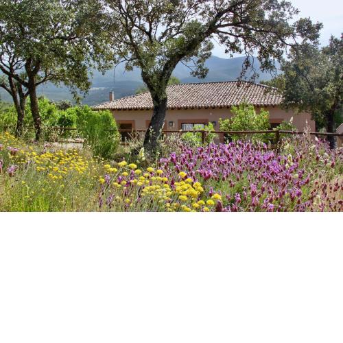 Casa Rural La Joyona