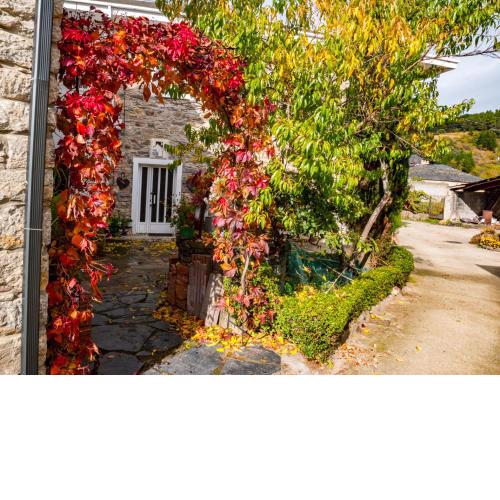 Casa rural quiroga