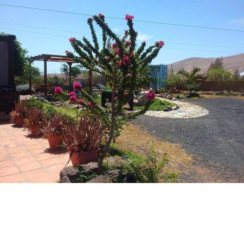 Casa Rural SoleaRio