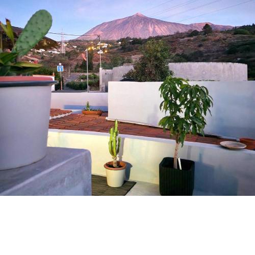 Casa Salvia - Canarian Holiday Home - Hosted