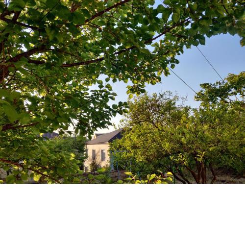 Casa Siora Amalia